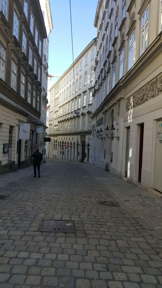 Largest synagogue in Vienna, Austria