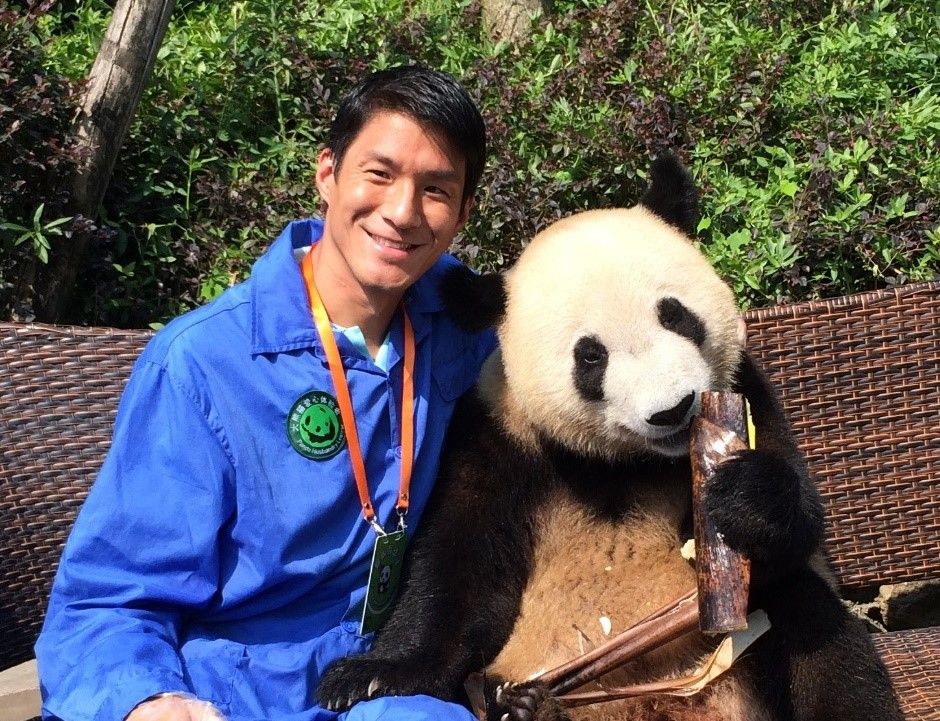 281526_Eric Chiang-panda.jpg