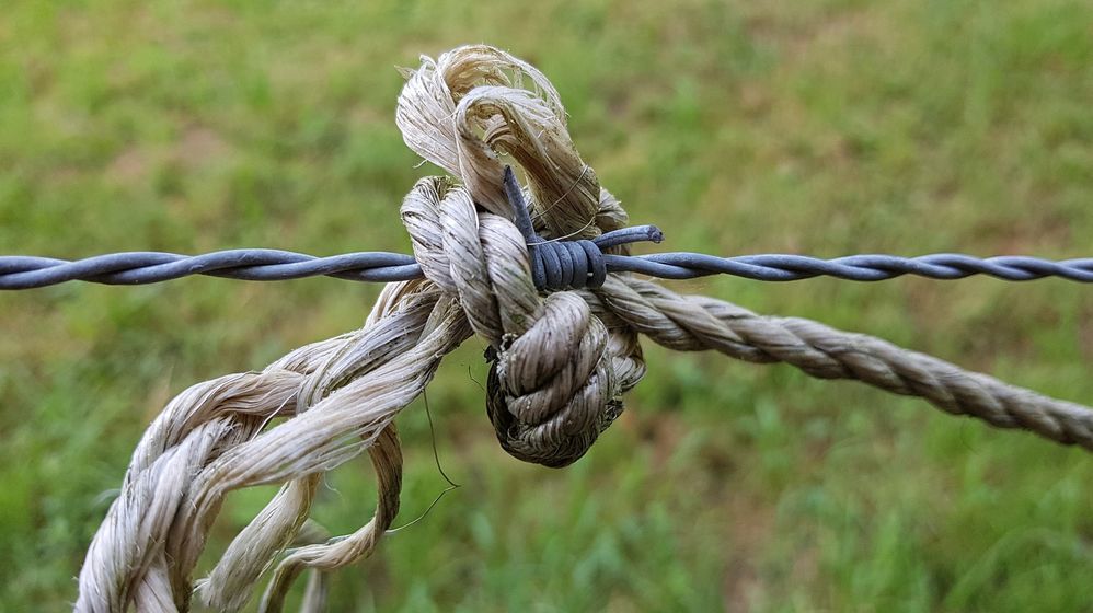A barbed wire bound together with a knot of rope, with a green field behind.