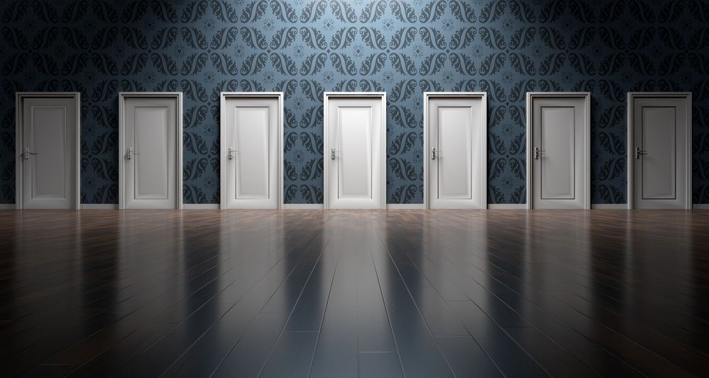 Image of doors from which to choose