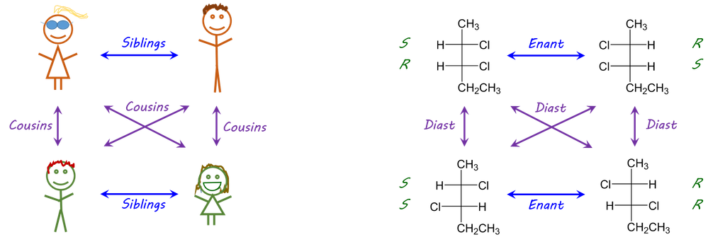 326262_cousins and steroisomers.png