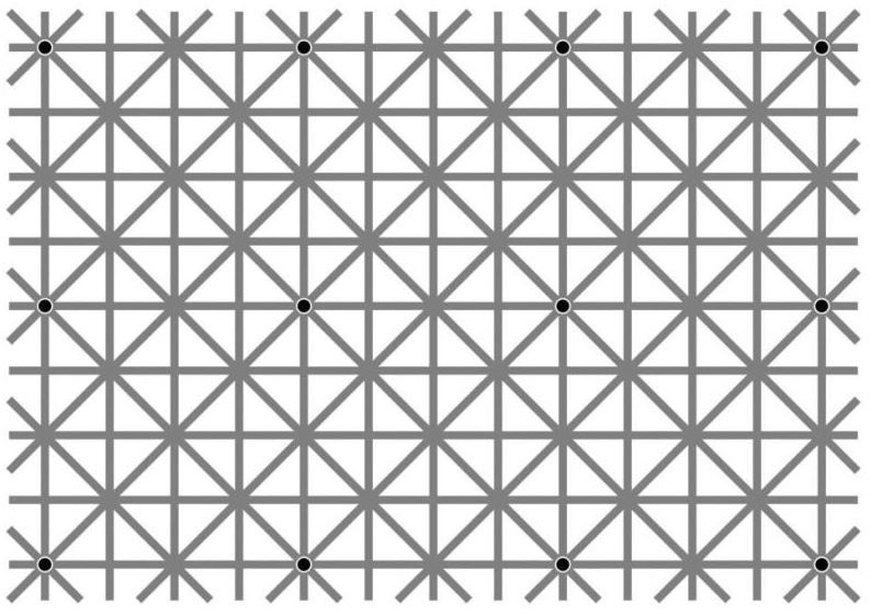 Ninio Extinction Illusion