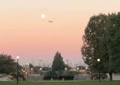 Trees NY skyline (2).png