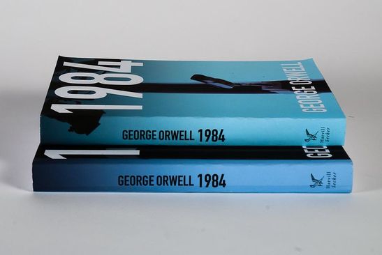 Photo-of-two-1984-books-on-table.jpg