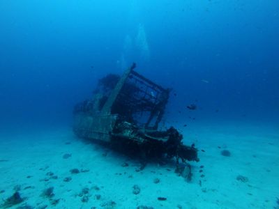 A shipwreck 33mm deep, of the coast of Bohol Island, Philippines.jpg