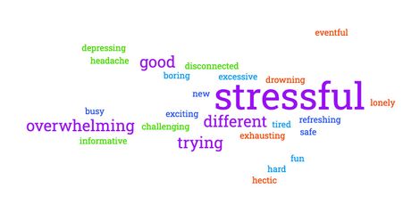 Wordcloud generated by students' responses to Prof Lidinsky's classroom pulse check.jpeg