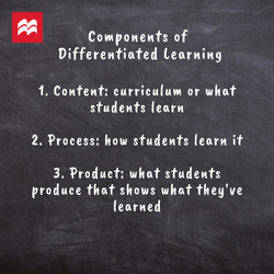 Differentiated Learning IG (2).png