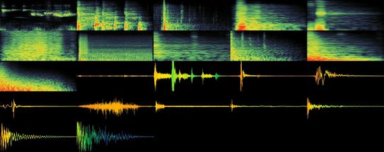 a grid of various sound waves.jpg