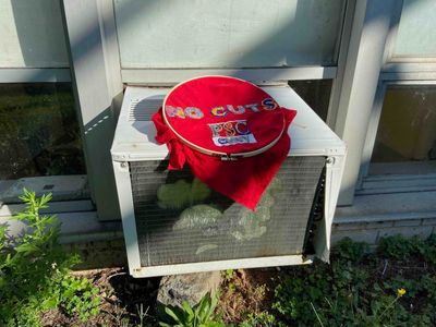 Untended Air Conditioner with Dandelion