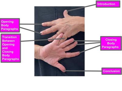 Drafting Process Diagram by Susan Bernstein