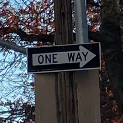 Autumn in New York: A One Way street sign is framed  by blue sky and a tree with red leaves and bare branches. Not shown: two people lugging home a ten-pound frozen turkey  on a 6-block walk home.  Photo by Susan Bernstein November 2023