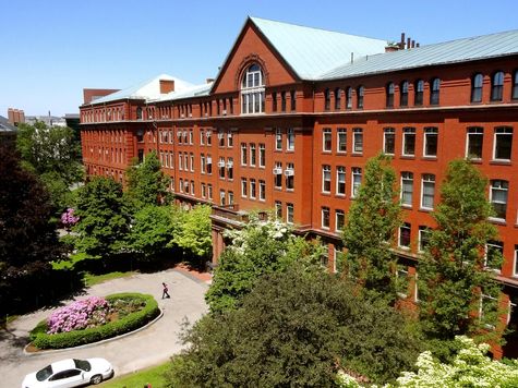 University Museum at Harvard University