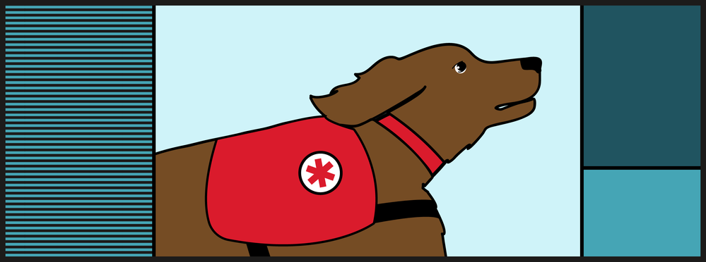 therapy-dog-college-quest-blog-banner.png