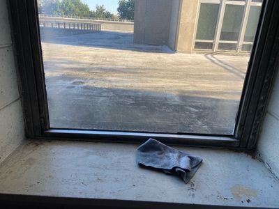 How can the classroom be extended beyond the dingy walls and  rattling windows of an assigned classroom space in disrepair?   Photo by Susan Bernstein