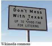 texas.png