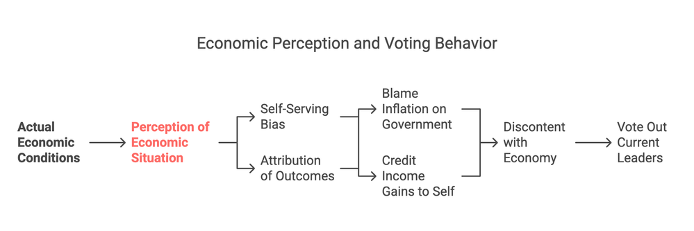 Self Serving Bias decision tree - visual selection (1).png