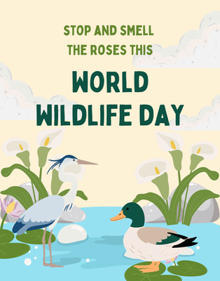 Green and Blue Illustrative Plants Animals Environment Save Nature Poster (1).png