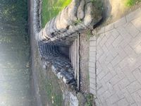 Image Four