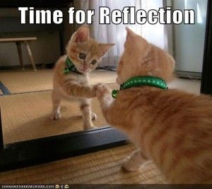 Kitten touching a mirror, with the caption Time for Reflection